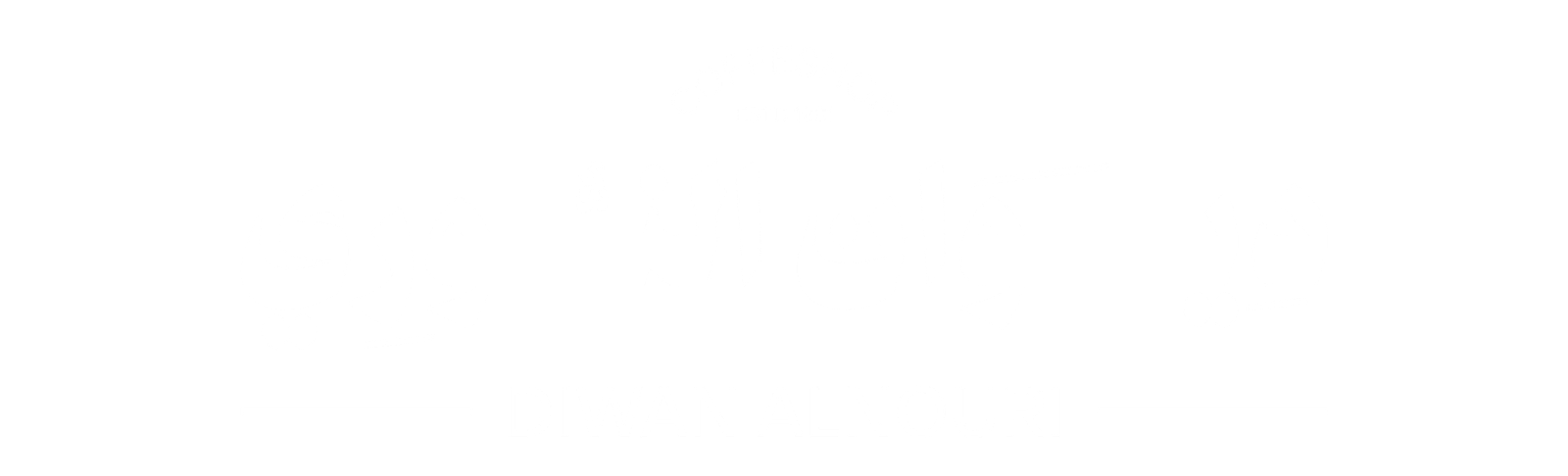 diwan al nouri logo white